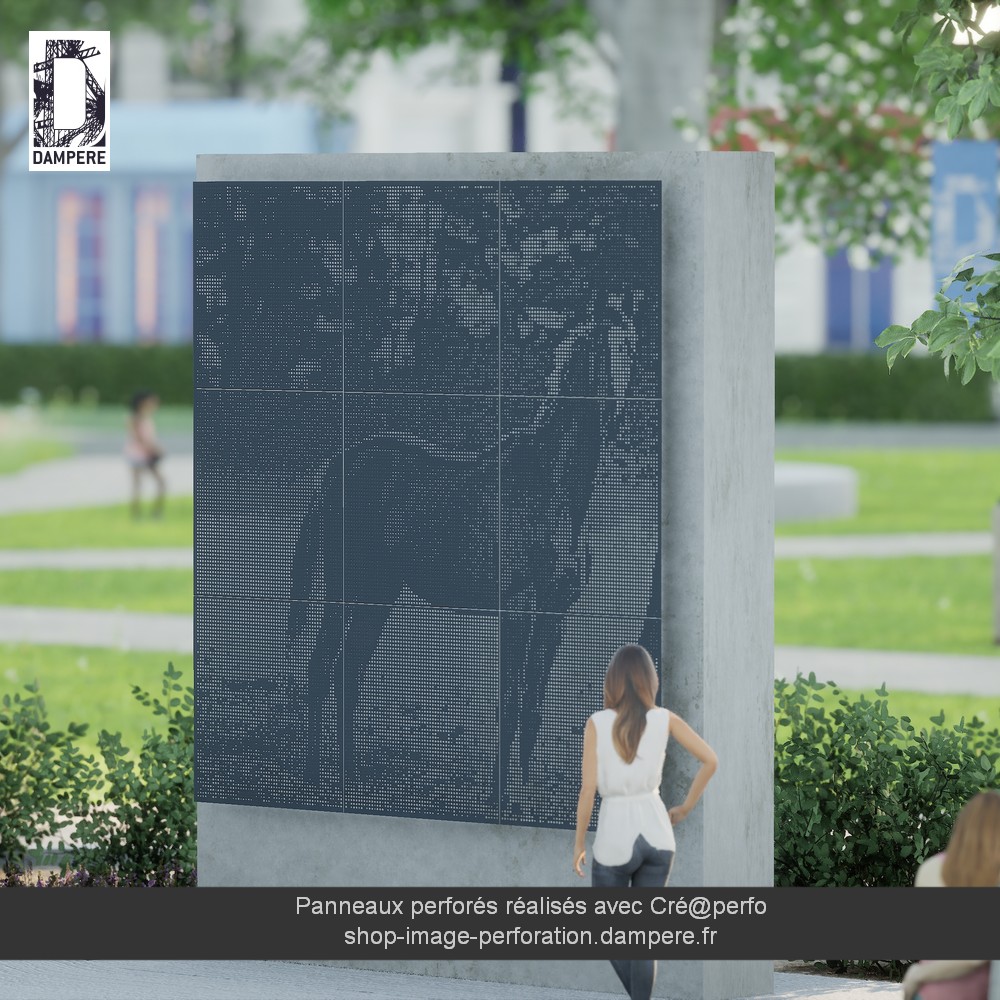 WIP10142-cheval-image-perforation_cam_1