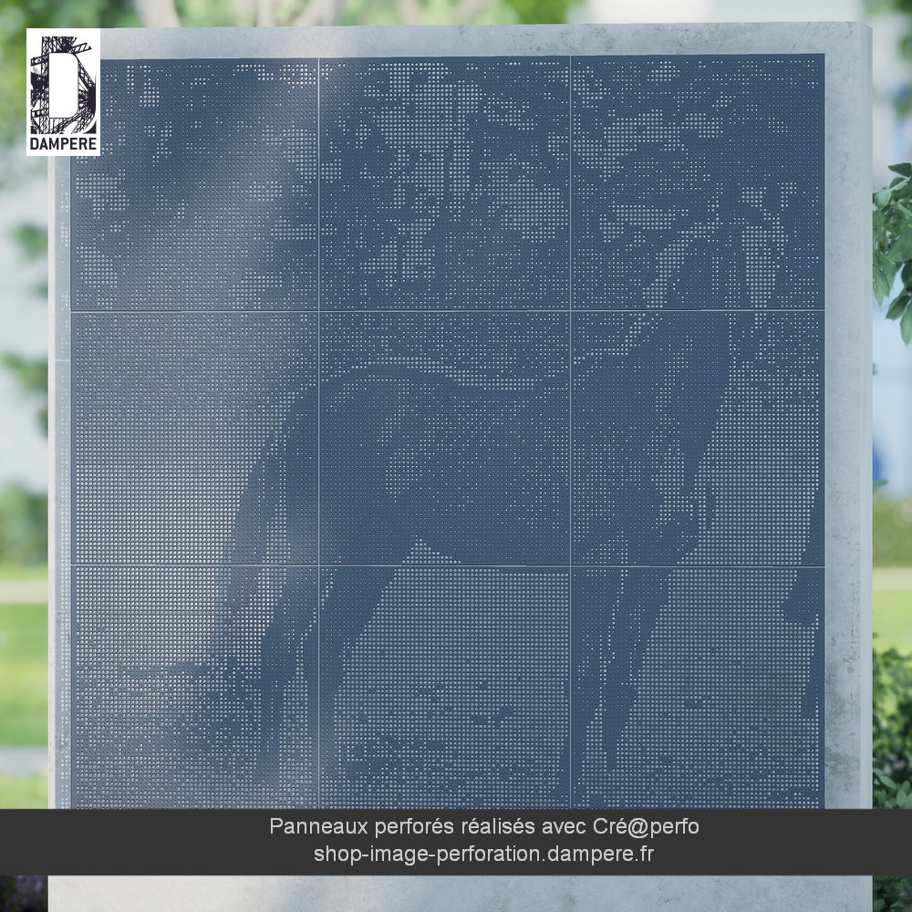 WIP10142-cheval-image-perforation_cam_2